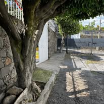 Trabajo de jardinería profesional en Cuernavaca